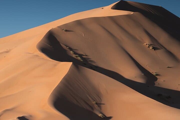 Overnight Desert Safari in Salalah: Empty Quarter Camp & Frankincense Trails photo 6