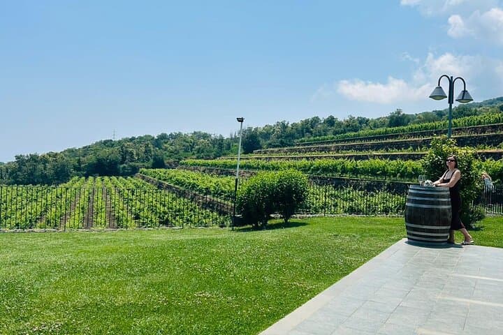 Etna Volcano Wine Tasting & Cellar Lunch with Private Transfer photo 5
