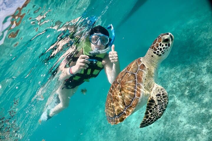 Mayan Snorkel: Swim with Akumal Turtles and Explore Falcon Nest Cenote photo 2