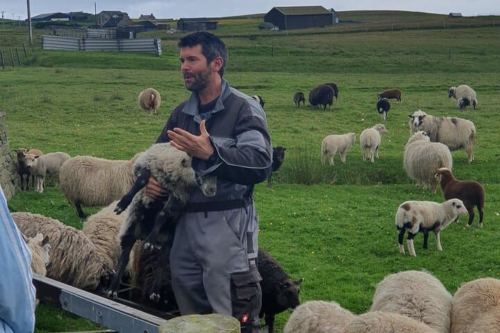 Bressay Explorer: Crofting, Archaeology & Island Life from Lerwick photo 4