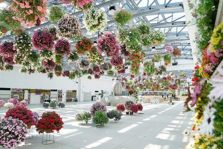 Inside HANA BIYORI: Tokyo’s Floral Tech Garden & Otter Encounters