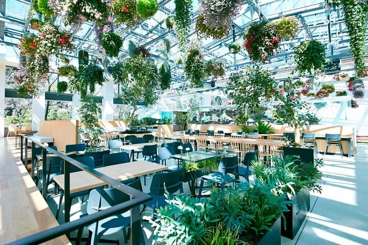 Inside HANA BIYORI: Tokyo’s Floral Tech Garden & Otter Encounters photo 2