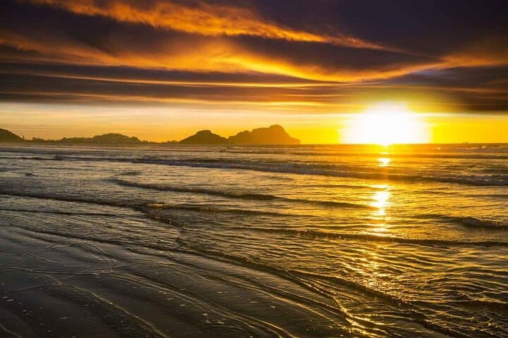 7-Day Guided West Coast Hiking Tour on Vancouver Island — Tofino & Hot Springs Cove