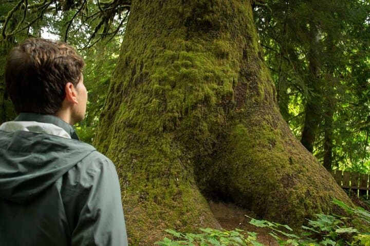 7-Day Guided West Coast Hiking Tour on Vancouver Island — Tofino & Hot Springs Cove photo 4