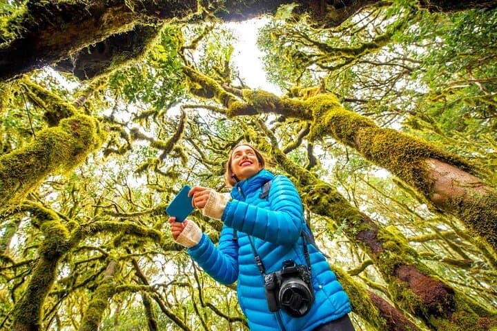 7-Day Guided West Coast Hiking Tour on Vancouver Island — Tofino & Hot Springs Cove photo 6