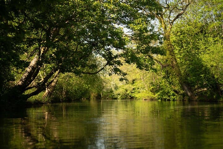 Private Oxford University Punting Tour on the River Cherwell photo 5