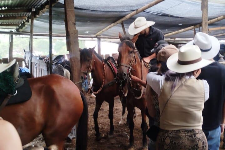 Antioquia Horseback Ride: Coffee-Farm Trails 30 Minutes From Medellín photo 4