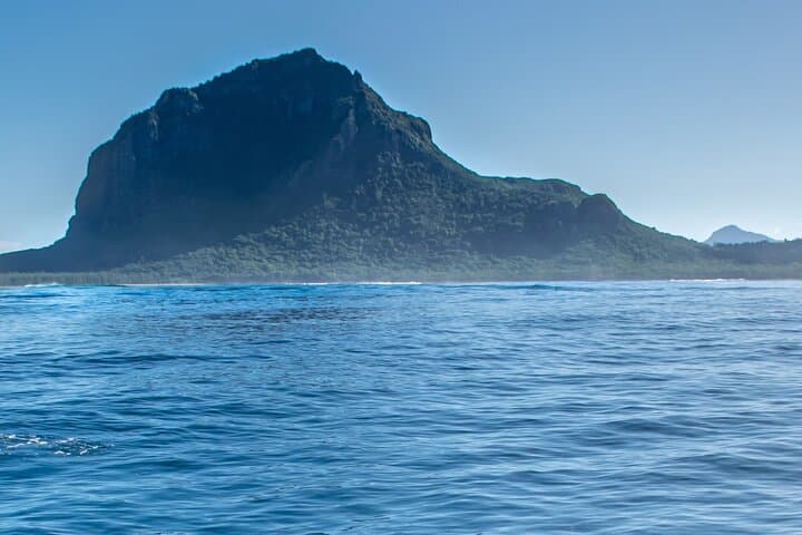Dolphin Watching and Snorkeling Full-Day Tour from Le Morne, Mauritius photo 6
