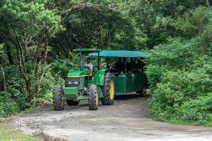 Rincón de la Vieja Eco Adventure Day Pass: Volcano Hikes, Hot Springs & Canopy photo 3