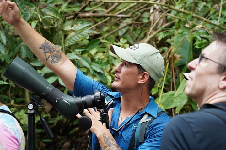 Manuel Antonio National Park Guided Walk with Binoculars — Wildlife & Beach Tour photo 5