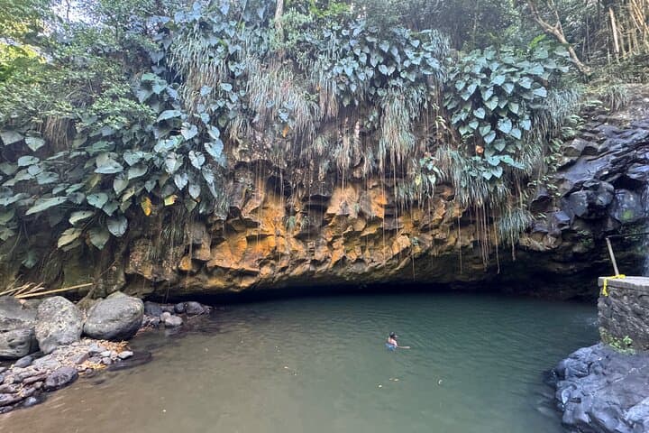Half-Day Grenada Tour: Waterfalls, Nutmeg & Chocolate with a Local Guide