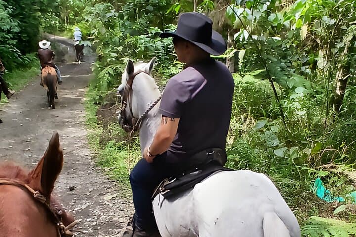 Antioquia Horseback Ride: Coffee-Farm Trails 30 Minutes From Medellín photo 6