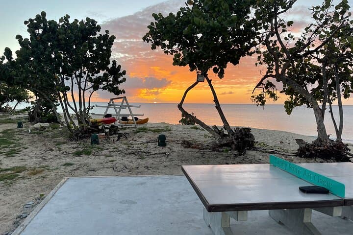 Frederiksted Moke Tour to The Fred Hotel & Sandy Point Beach photo 6