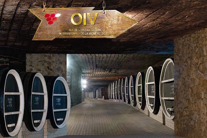 Visit Milestii Mici: World's Largest Wine Cellar Tour from Chișinău