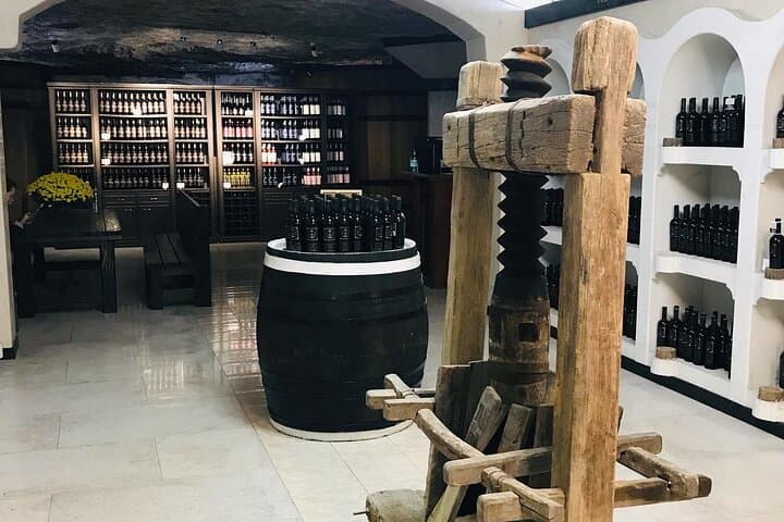 Visit Milestii Mici: World's Largest Wine Cellar Tour from Chișinău photo 5