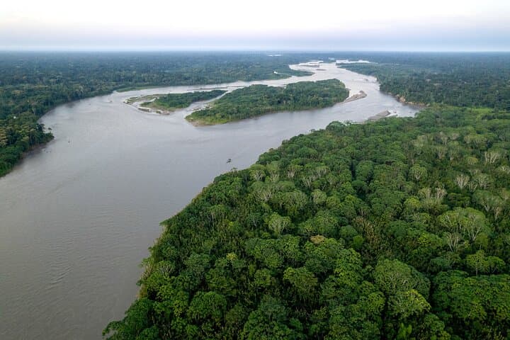 5-Day Manu Reserved Zone Jungle Lodge Tour from Cusco photo 5