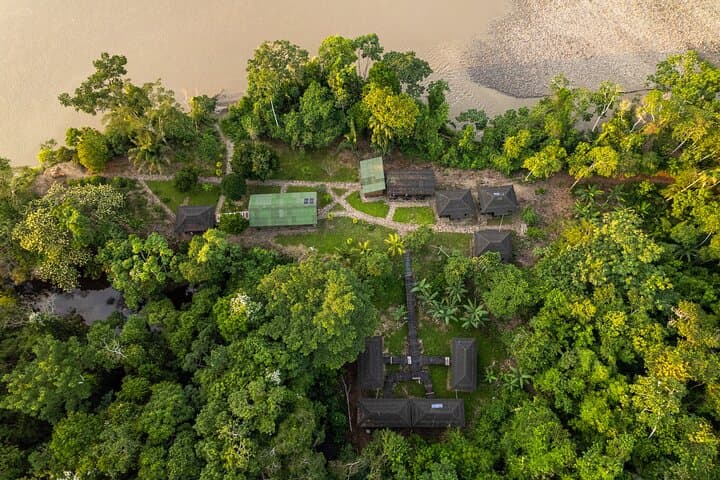 5-Day Manu Reserved Zone Jungle Lodge Tour from Cusco photo 6