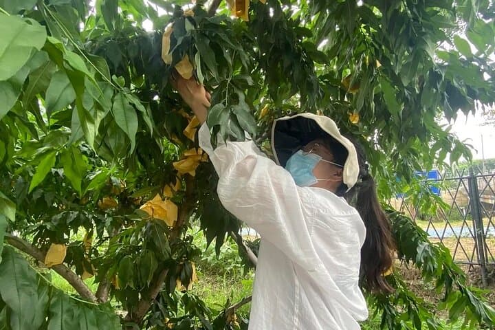 Shanghai Farm-to-Table: Seasonal Fruit Picking & Countryside Tasting photo 3