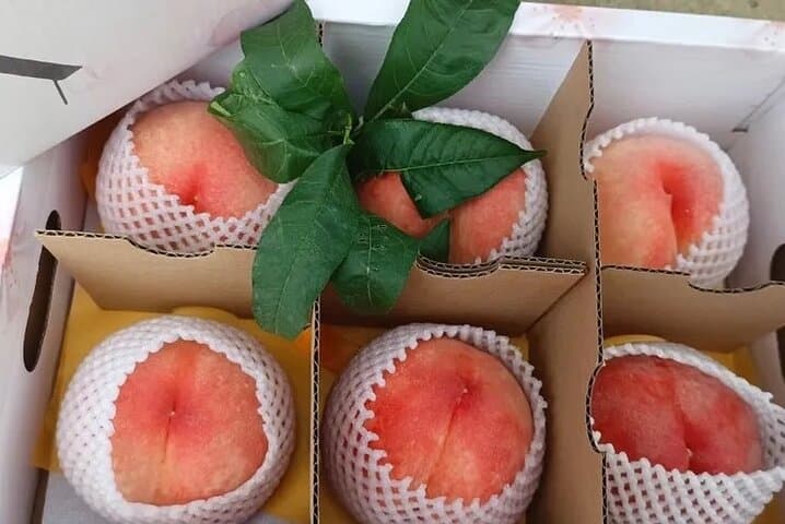 Shanghai Farm-to-Table: Seasonal Fruit Picking & Countryside Tasting photo 4