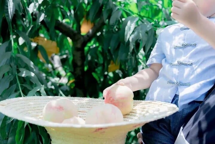Shanghai Farm-to-Table: Seasonal Fruit Picking & Countryside Tasting photo 6