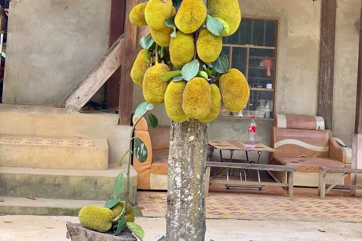 Mai Chau Day Trip from Hanoi: Biking Rice Paddies, Thung Khe Pass & Thai Village Culture photo 2