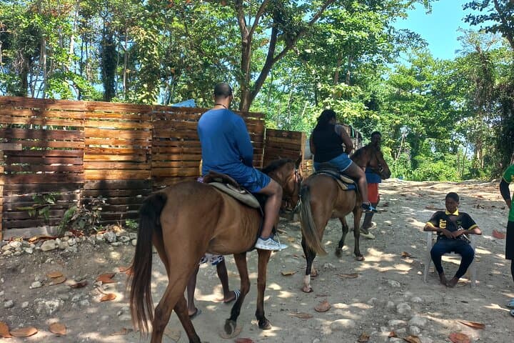Horseback Riding in Ocho Rios: Beach, River Trails & Caribbean Swims photo 5