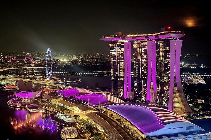 Singapore Your Way: Private 4-Hour Custom Walking Tour of Marina Bay, Chinatown & Gardens
