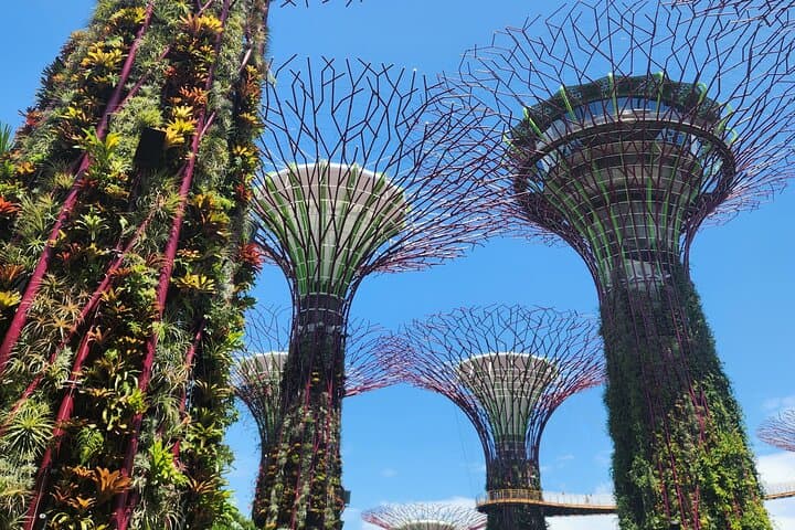 Singapore Your Way: Private 4-Hour Custom Walking Tour of Marina Bay, Chinatown & Gardens photo 2