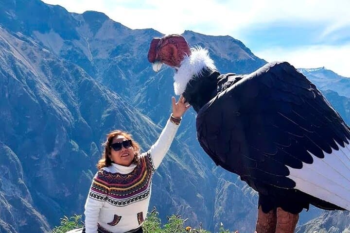 Colca Canyon One-Day Tour from Arequipa: Condors, Hot Springs & High Andean Views