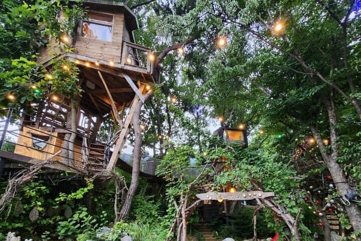 Seokmodo Arboretum & Treehouse Day: A Relaxing Nature Journey for Teens photo 3