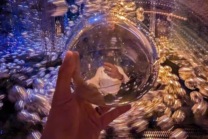 Private Abu Dhabi City Tour with teamLab Phenomena: Mosque, Corniche & Culture photo 2