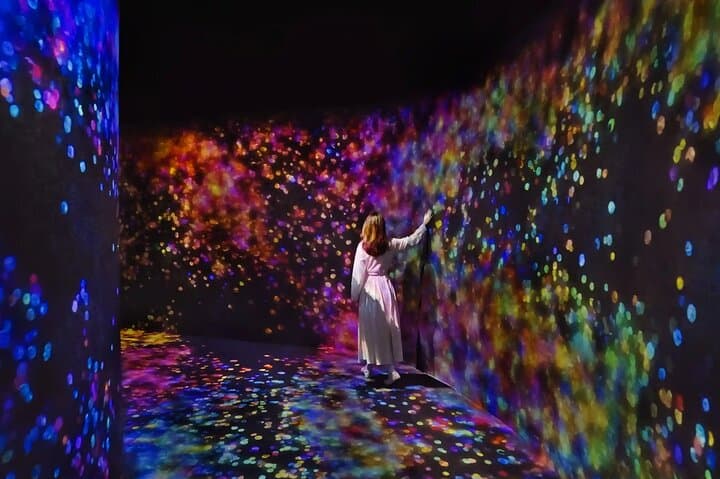Private Abu Dhabi City Tour with teamLab Phenomena: Mosque, Corniche & Culture
