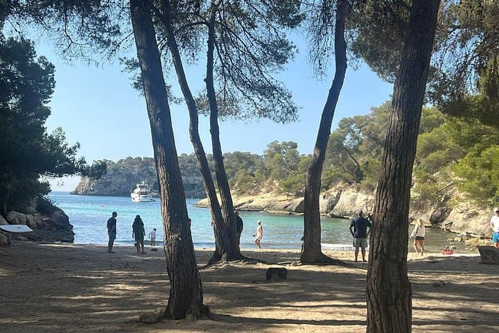 Mallorca Shore Escape: Private Beach Tour to Portals Vells & Cala des Mago photo 4