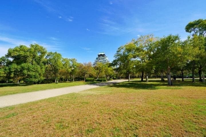 Osaka Retro Town and Castle Walk — Nakanoshima to Osaka Castle Park photo 2