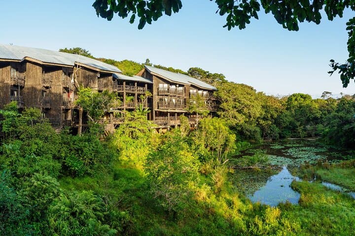Overnight Safari to Shimba Hills: Game Drives, Sheldrick Falls & Sable Antelope