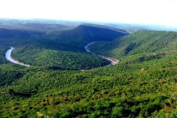 Overnight Safari to Shimba Hills: Game Drives, Sheldrick Falls & Sable Antelope photo 4