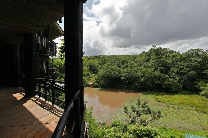 Overnight Safari to Shimba Hills: Game Drives, Sheldrick Falls & Sable Antelope photo 5