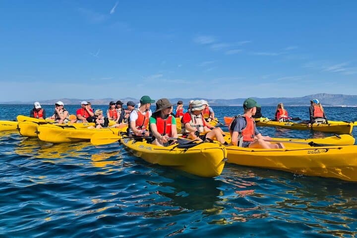 Explore Sutivan by Kayak — Family-Friendly Sea Kayaking on Brač's Protected Coast photo 4