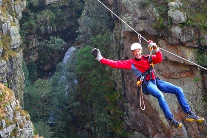 2-Day Cape Escape: Whale Coast Penguins Zipline & Panthera Sanctuary