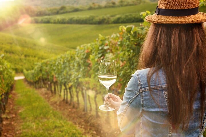 Mount Etna Private Tour: Volcano Walk and Volcanic Wine Tasting
