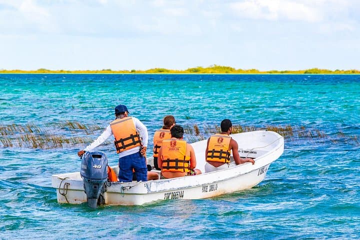 Muyil Ruins & Lagoon Private Tour: Mayan Ruins, Mangroves & Lazy River in Sian Ka'an photo 2