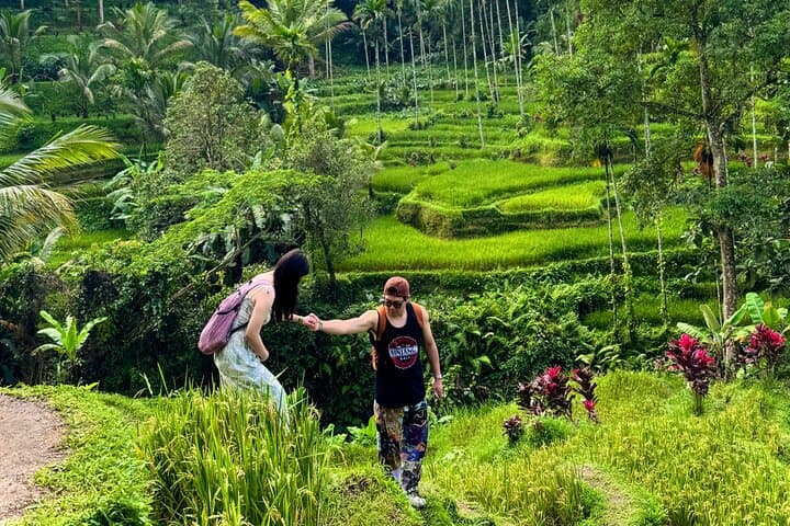 Ubud Private Tour: Rice Terraces, Jungle Swing & Hidden Waterfalls photo 3