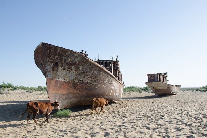 Khiva to the Aral Sea: Overnight Yurt Adventure on the Ustyurt Plateau photo 2