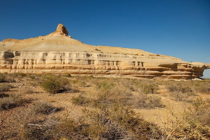 Khiva to the Aral Sea: Overnight Yurt Adventure on the Ustyurt Plateau photo 4