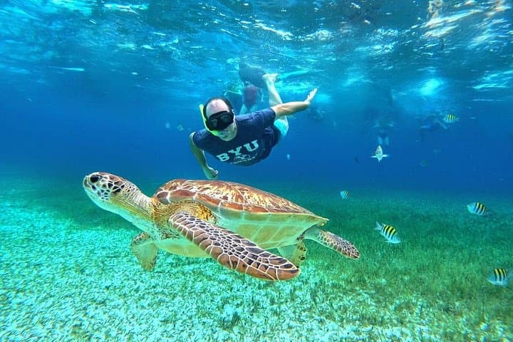 Cozumel Turtle Sanctuary Catamaran: 4-Hour Snorkel to El Cielo & Cielito photo 2