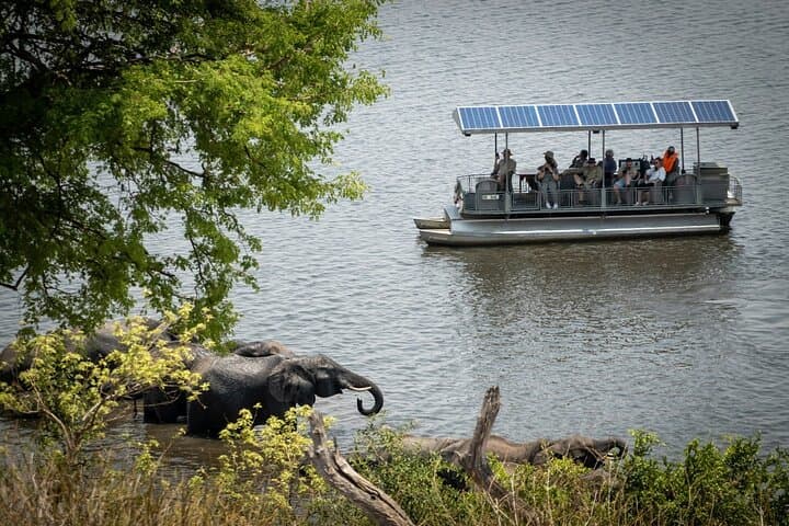 Chobe River Cruise: Kasane Boat Safari for Elephants and Birds photo 2