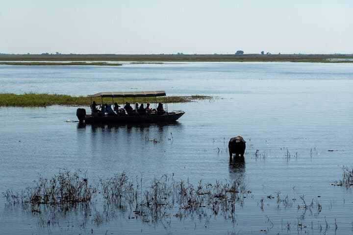 Chobe River Cruise: Kasane Boat Safari for Elephants and Birds photo 6