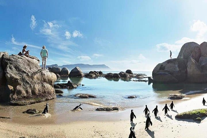 9-Day Cape Coastal & Garden Route Adventure — Cape Town to Addo photo 4