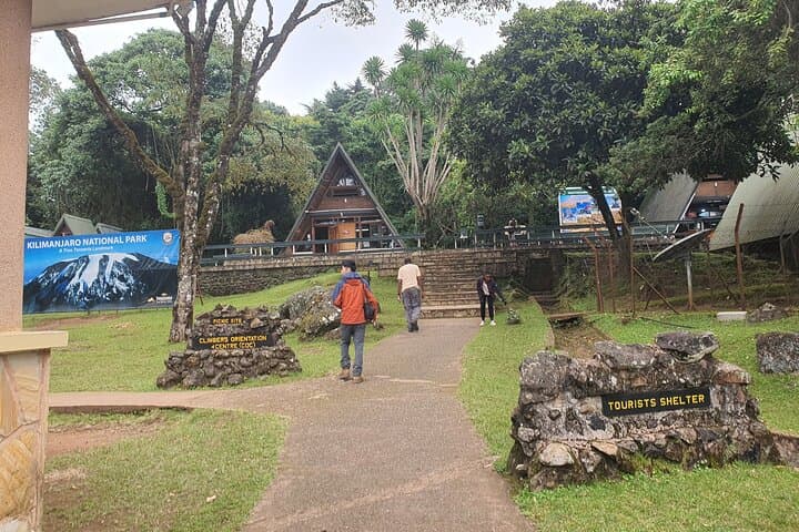 Kilimanjaro One-Day Hike to Mandara Hut and Maundi Crater photo 3