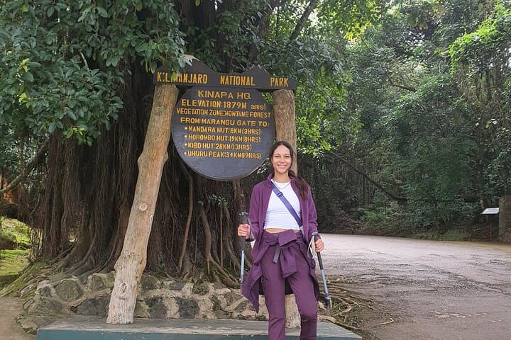 Kilimanjaro One-Day Hike to Mandara Hut and Maundi Crater photo 5